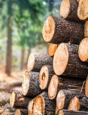 Logging